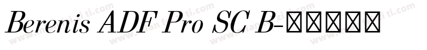 Berenis ADF Pro SC B字体转换